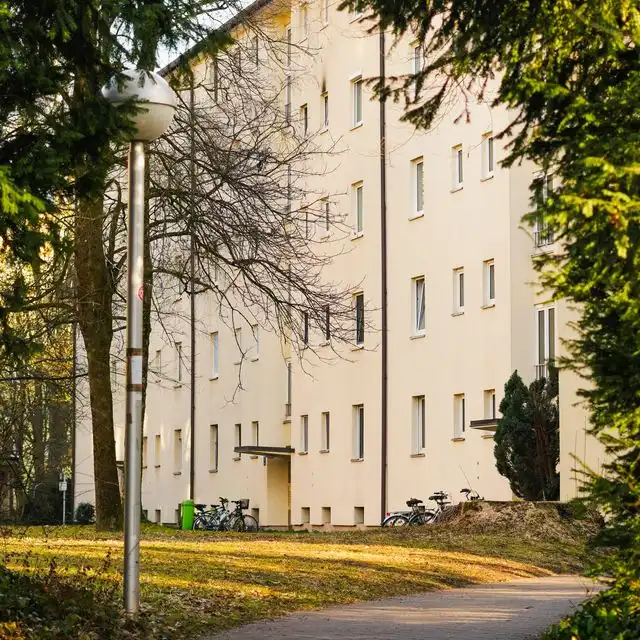 Gebäude-Typen in Felsberg Schweinsberg