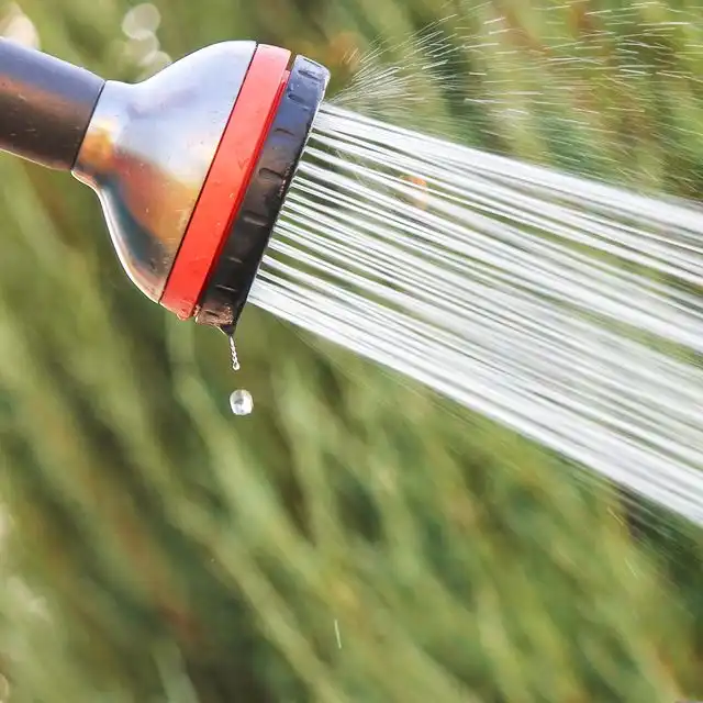 Wasserqualität in Felsberg